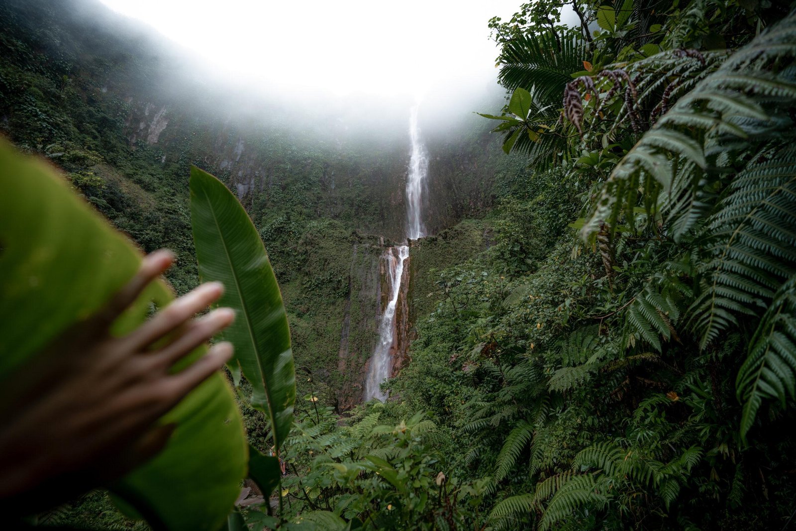 Plus Belles Cascades En Guadeloupe Visiter Absolument