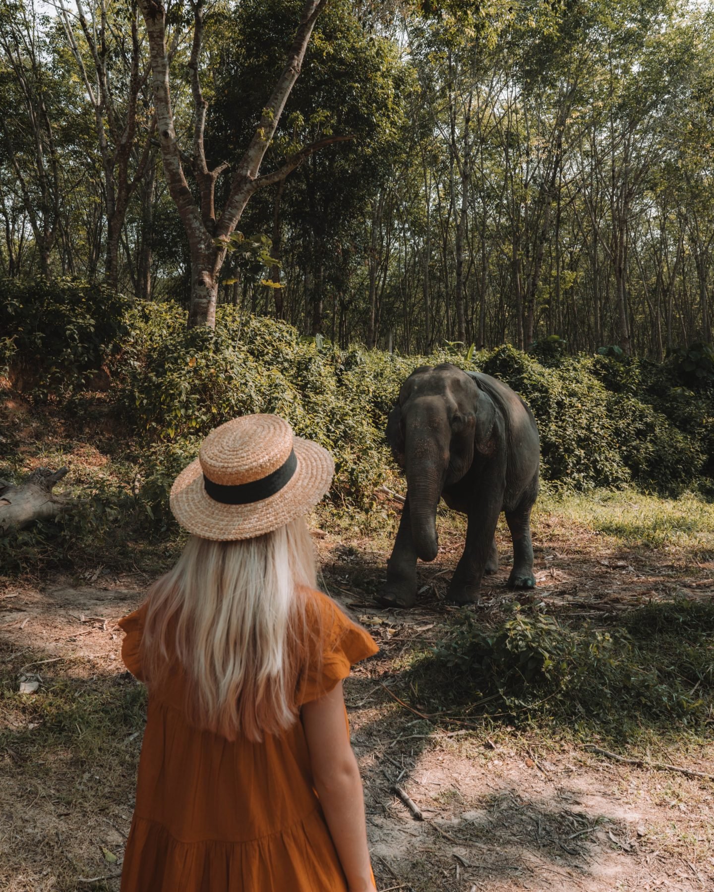 Visiter la Thaïlande